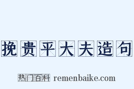 挽贵平大夫造句是什么意思的图片